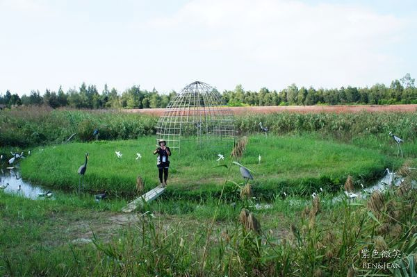 DSC06400