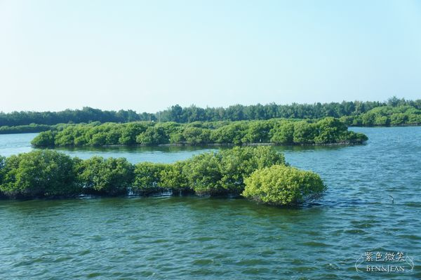 DSC06439