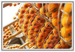 ╠桃園旅遊╣ 秘境!桃園飄出九月雪 花又盛開了 你豈能錯過韭菜花海的美