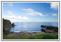╠桃園旅遊╣ 秘境!桃園飄出九月雪 花又盛開了 你豈能錯過韭菜花海的美