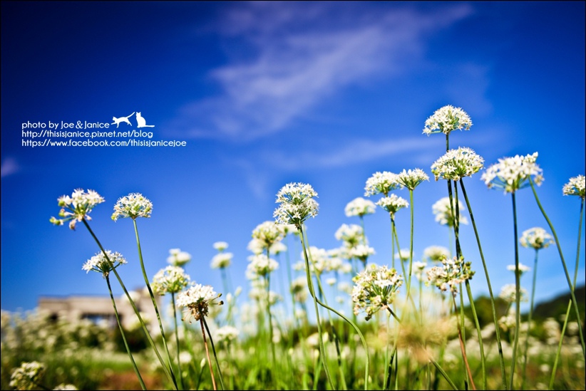 DSC_9852.jpg DSC_9852.jpg