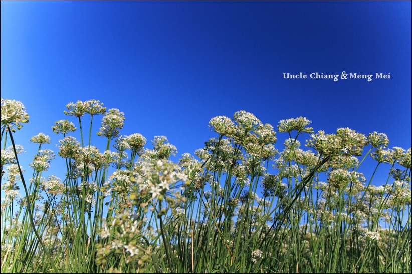 130A1805.jpg 130A1805.jpg