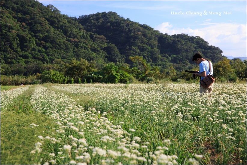 130A1767.jpg 130A1767.jpg