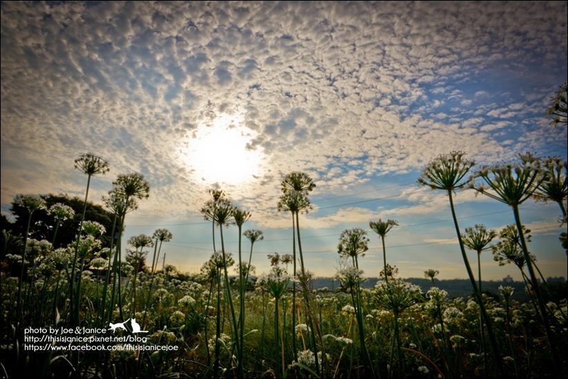 DSC_0260.jpg DSC_0260.jpg