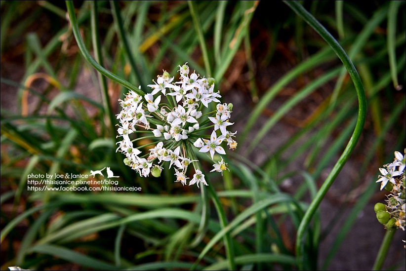 DSC_0212.jpg DSC_0212.jpg