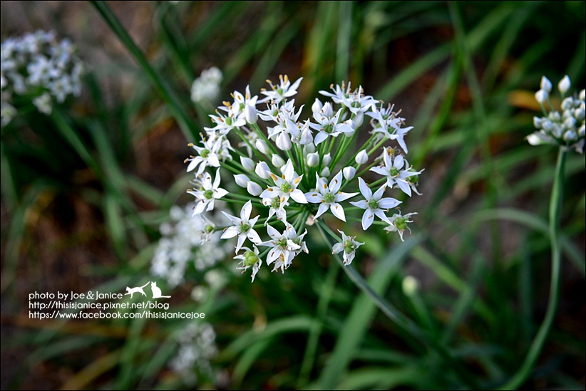 DSC_0280.jpg DSC_0280.jpg