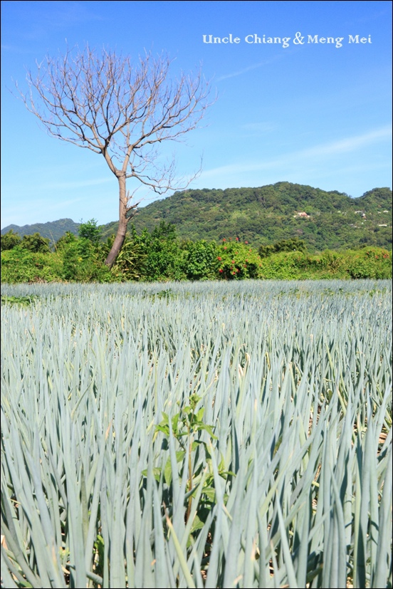 130A1671.jpg 130A1671.jpg