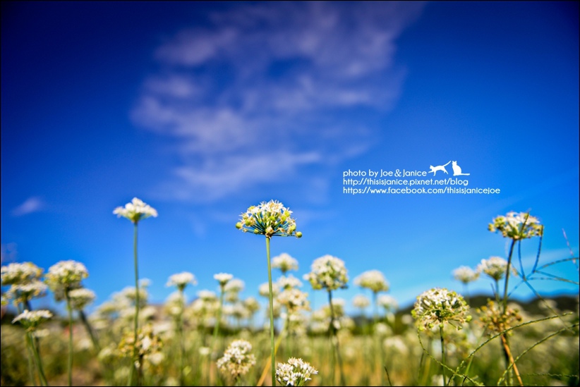 DSC_9830.jpg DSC_9830.jpg