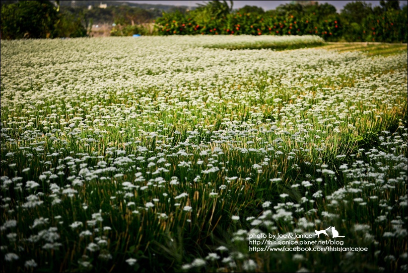 DSC_0119.jpg DSC_0119.jpg