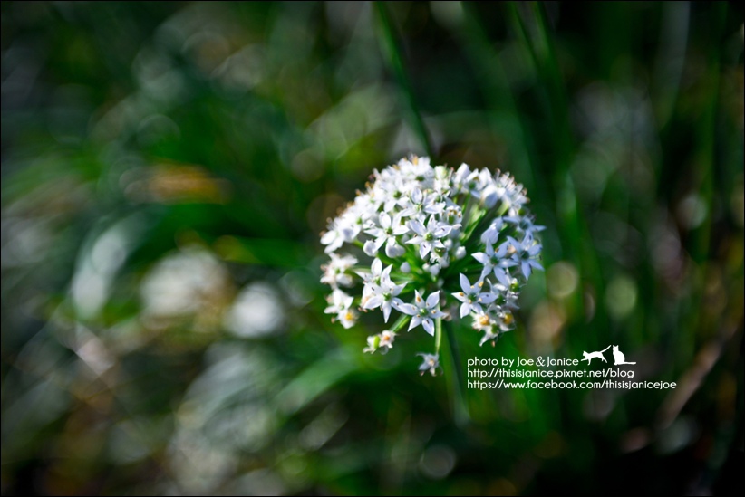 DSC_0097.jpg DSC_0097.jpg