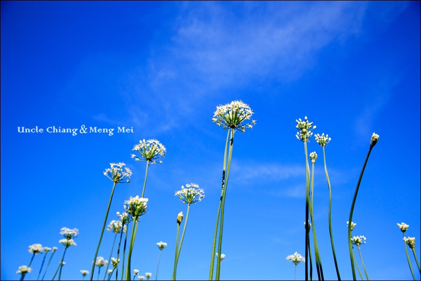 130A1726.jpg 130A1726.jpg