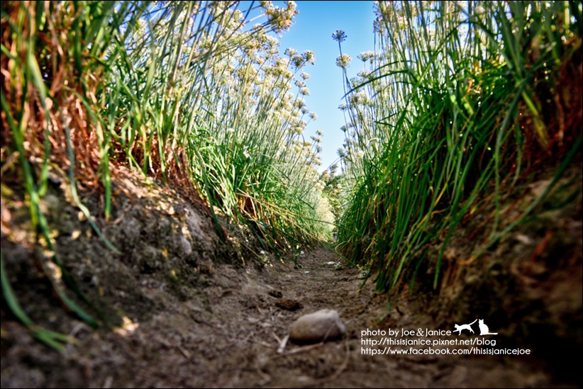 DSC_0037.jpg DSC_0037.jpg