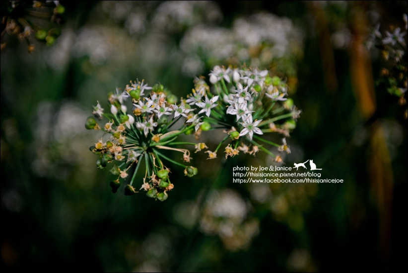 DSC_0067.jpg DSC_0067.jpg