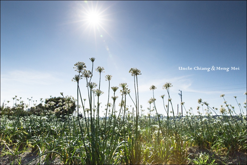 130A1680-3.jpg 130A1680-3.jpg