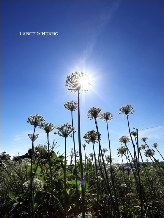 一哥拍的 一哥拍的