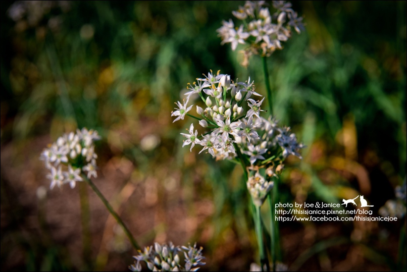 DSC_0014.jpg DSC_0014.jpg