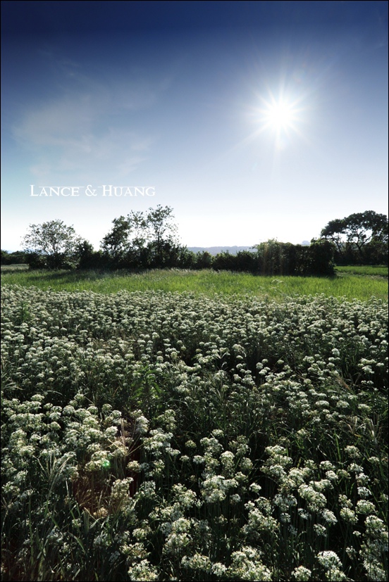 IMG_77521111.jpg IMG_77521111.jpg