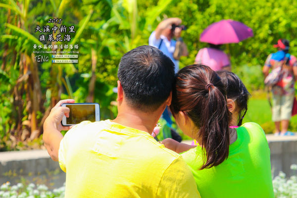 2015韭菜花海│桃園/大溪/中新里(九(韭)月的雪下的如此完美)