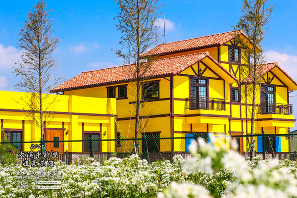 2015韭菜花海│桃園/大溪/中新里(九(韭)月的雪下的如此完美)