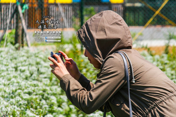 2015韭菜花海│桃園/大溪/中新里(九(韭)月的雪下的如此完美)