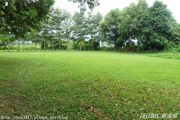 【花蓮。鳳林】芳草古樹花園。慢活鳳林。體驗全台第一家菸樓民宿