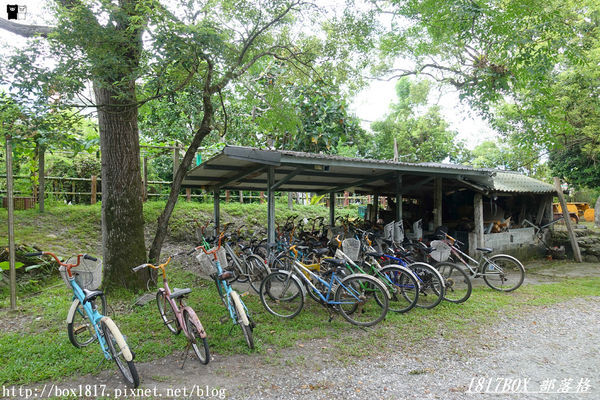 【花蓮。鳳林】芳草古樹花園。慢活鳳林。體驗全台第一家菸樓民宿