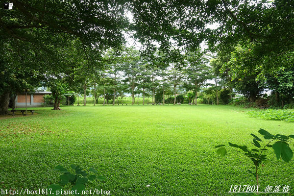 【花蓮。鳳林】芳草古樹花園。慢活鳳林。體驗全台第一家菸樓民宿