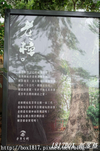 【花蓮。鳳林】芳草古樹花園。慢活鳳林。體驗全台第一家菸樓民宿