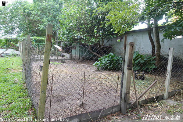 【花蓮。鳳林】芳草古樹花園。慢活鳳林。體驗全台第一家菸樓民宿