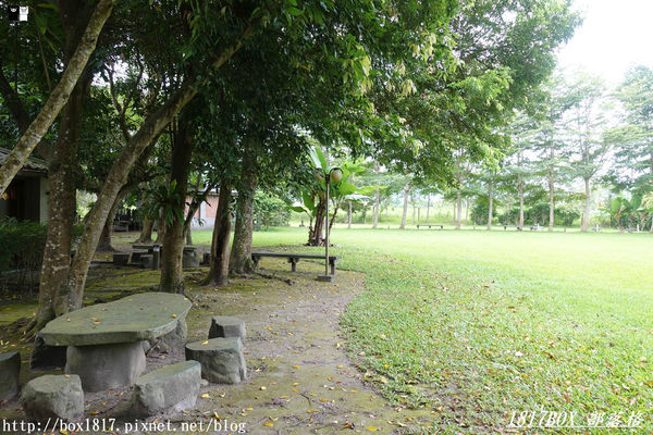 【花蓮。鳳林】芳草古樹花園。慢活鳳林。體驗全台第一家菸樓民宿