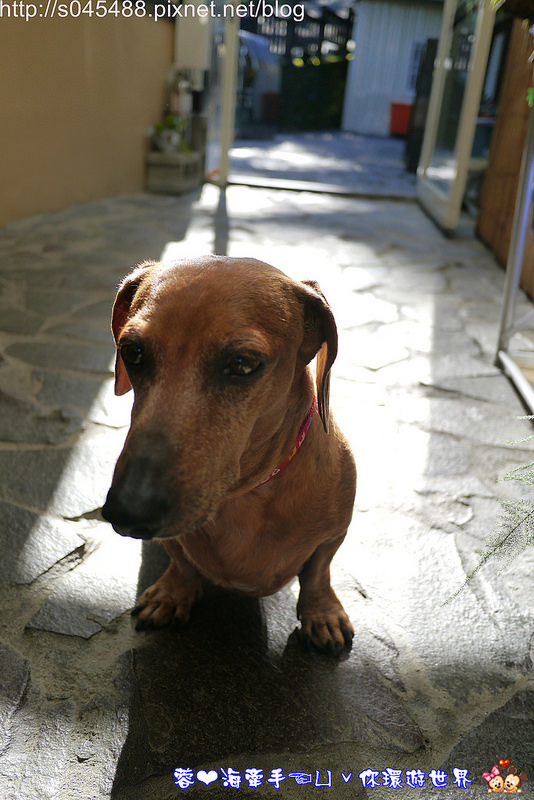 【南投▍住宿】月牙莊景觀休閒渡假山莊♥歐式的浪漫風情，是一種頂級奢華的享受~(文末送禮*2)