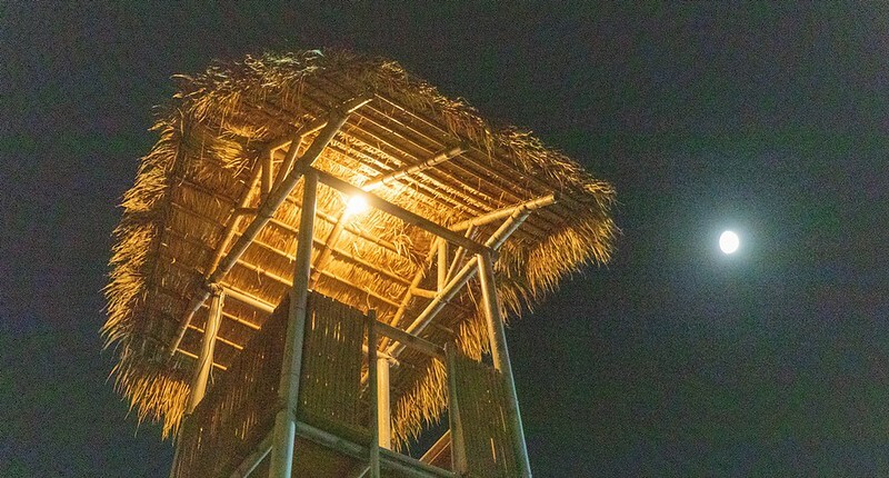 台東卑南原住民美食！招牌桶仔雞、鱷魚肉「原始部落山地美食」在地人必推。