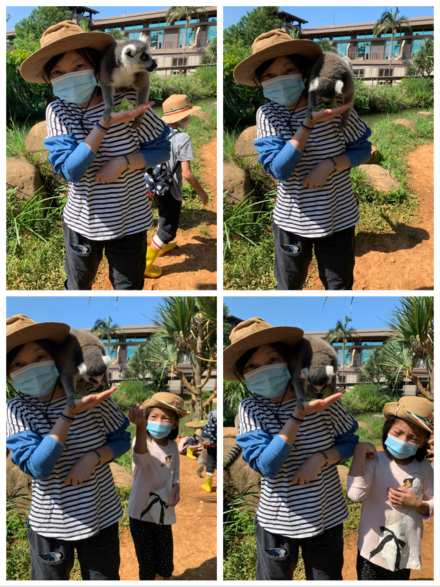 六福莊生態渡假飯店~ 走向大自然與動物們當好朋友