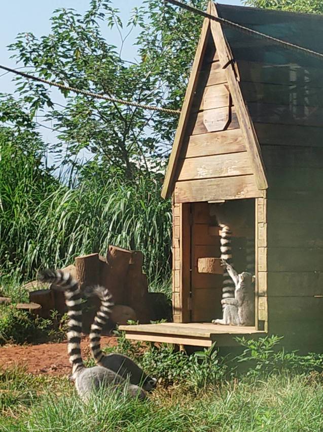 六福莊生態渡假飯店~ 走向大自然與動物們當好朋友