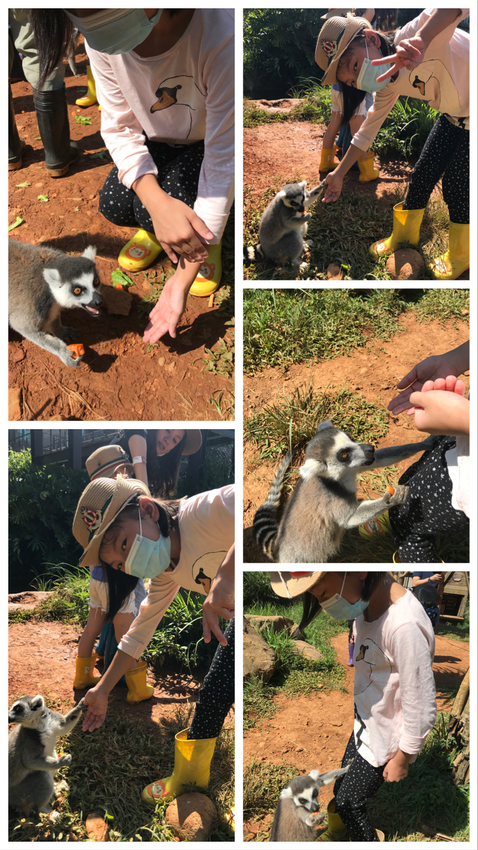 六福莊生態渡假飯店~ 走向大自然與動物們當好朋友