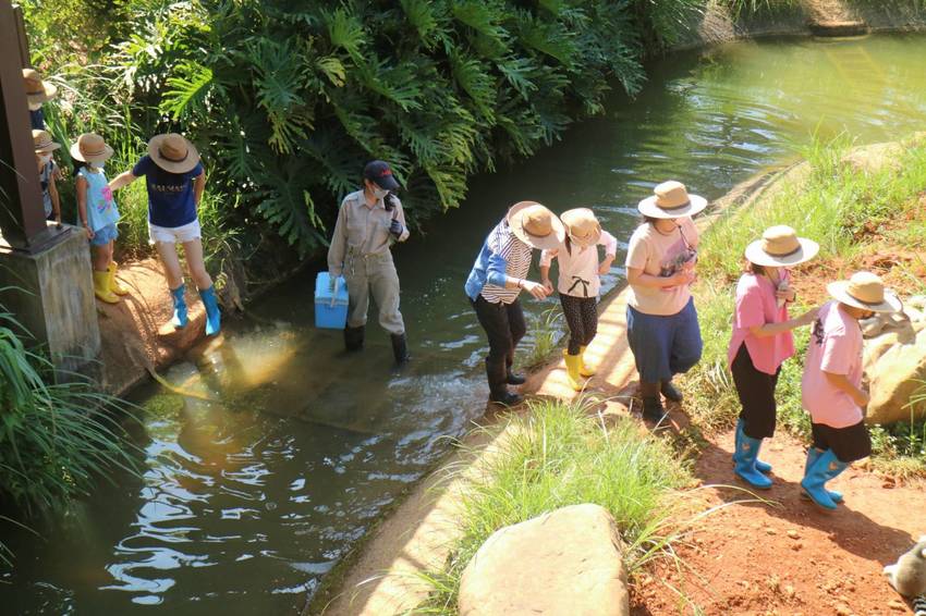 六福莊生態渡假飯店~ 走向大自然與動物們當好朋友