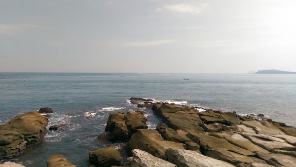 IMAG8170.jpg IMAG8170.jpg