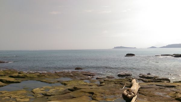 IMAG8111.jpg IMAG8111.jpg