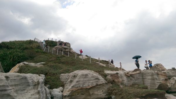 IMAG8232.jpg IMAG8232.jpg