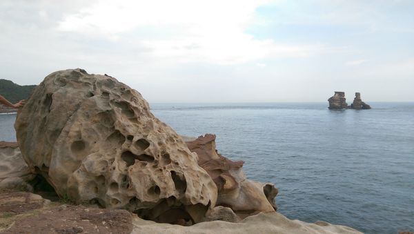 IMAG8254.jpg IMAG8254.jpg