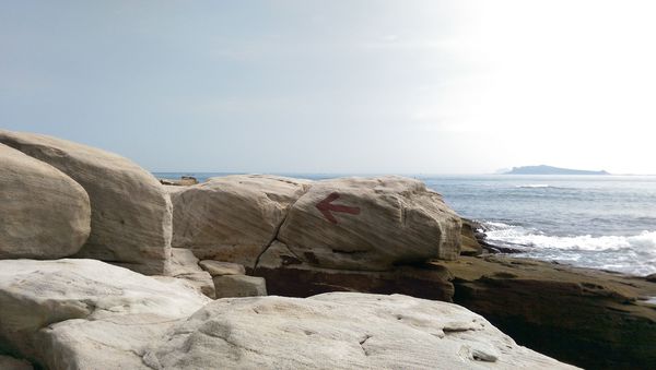 IMAG8141.jpg IMAG8141.jpg