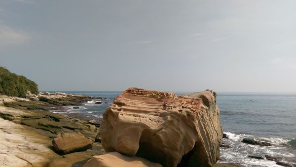 IMAG8120.jpg IMAG8120.jpg