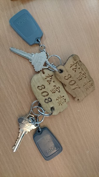 合歡山國家森林遊樂區-松雪樓:南投~合歡山國家森林遊樂區~松雪樓~白茫茫的雪景美不勝收~DIY動手作雪人~真是太有趣了~