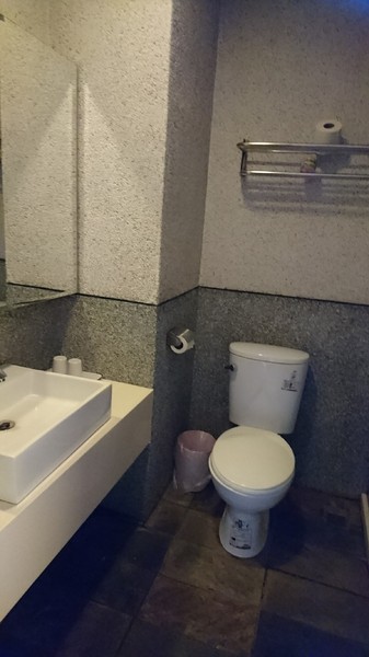 合歡山國家森林遊樂區-松雪樓:南投~合歡山國家森林遊樂區~松雪樓~白茫茫的雪景美不勝收~DIY動手作雪人~真是太有趣了~