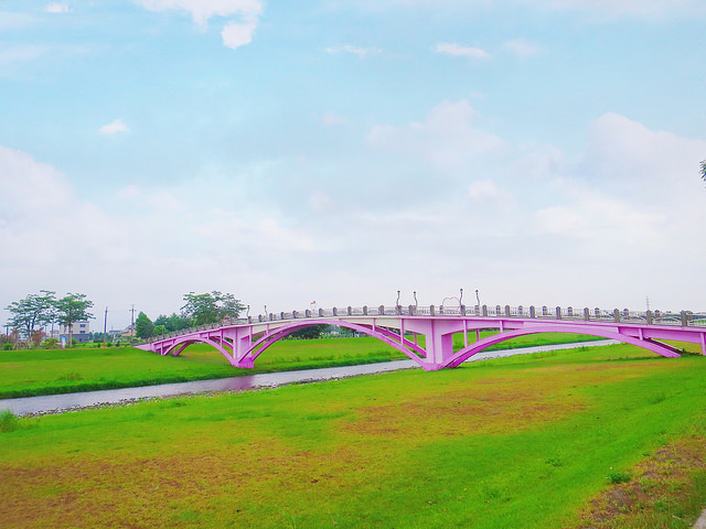 安農溪分洪堰風景區 (15)