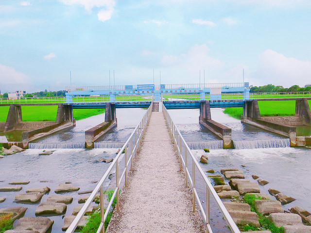 安農溪分洪堰風景區 (22)