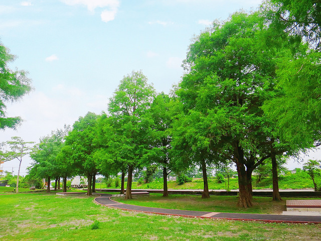 安農溪分洪堰風景區 (26)