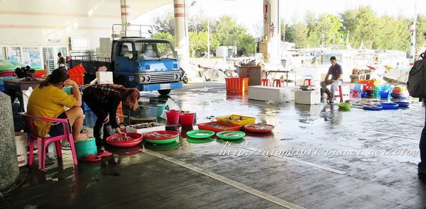 將軍船老大 (4).jpg