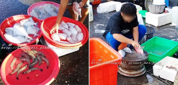 將軍船老大 (54).jpg