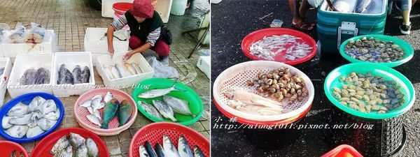 將軍船老大 (53).jpg